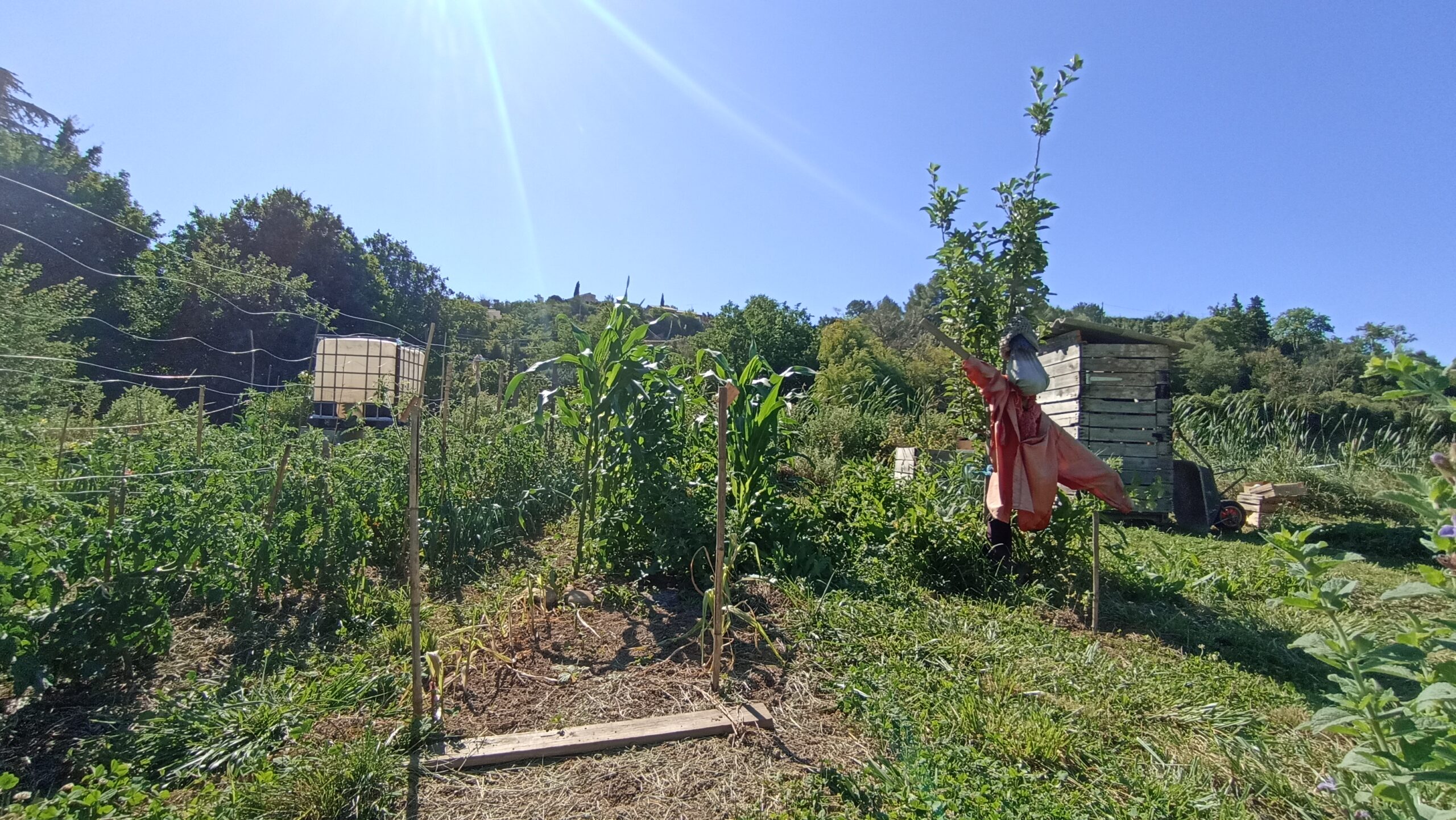 Jardin collectif La Voï Valensole